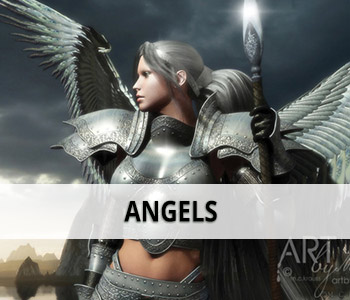 Angel category