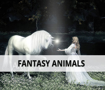 Fantasy Animals category