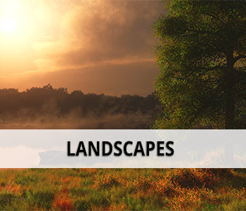 Landscapes category