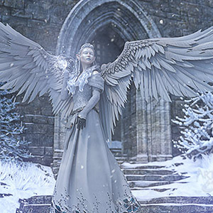 The White Raven of Winter