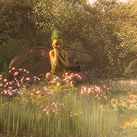 Wily and secretive, some fae creatures hide deep inside lush forests...