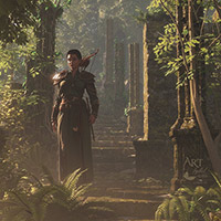 Vast, ancient forests cover much of the lands of Anaar. Moss-covered ruins are scattered throughout these wild places..