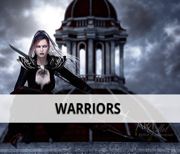 Warriors category