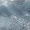Winter Sky